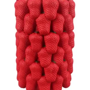 Vaza rosie din rasina, Ø 20 x 32 cm, Strawberry Mauro Ferreti Retur gratuit