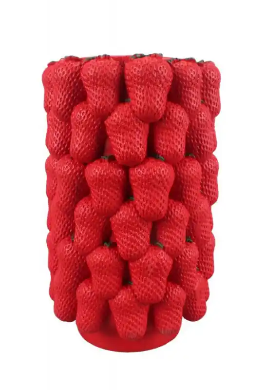 Vaza rosie din rasina, Ø 20 x 32 cm, Strawberry Mauro Ferreti Retur gratuit