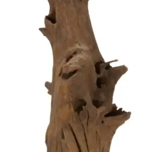 Sculptură Akar din Teak Reciclat, 23x27x64 cm, Mauro Ferretti Cel mai bun preț